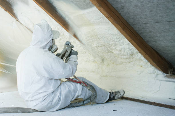 Trusted Estero, FL Insulation Removal & Installation Experts